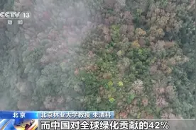 国际森林日丨我国成为全球森林资源增长最快最多国家图片