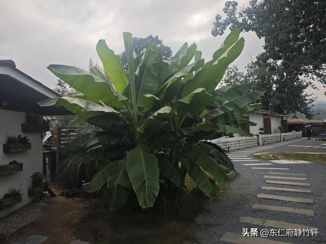 相约陕西省西安市鄠邑区蒋村街道白龙村甘河东岸一念等某人民宿