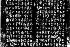 我是一颗种子 命题作文，孩子们的习作，惊艳了我这个40多岁的作家图片