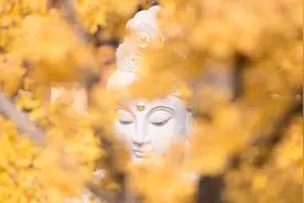 八戒原来是个菩萨！佛、菩萨、罗汉、金刚、使者到底是什么身份？图片