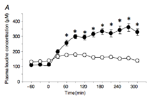 支链氨基酸作为老年营养关键共识，竟被美专家否定？营养师来解读