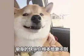 我母胎单身35年，准备光棍一辈子，这是我单身的4个原因图片