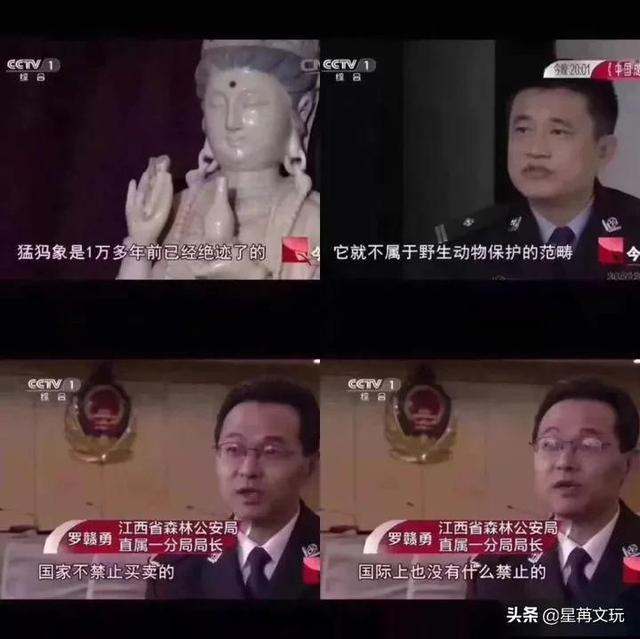 牛角化石辟邪吗