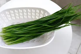 湿气“最怕”的蔬菜，立秋后使劲吃，祛风除湿，温中散寒，润肠通便图片