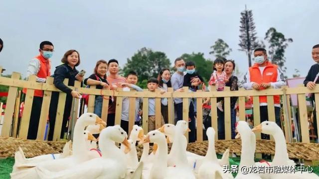 不去你可能会后悔！5月1日~3日一起去长汀这个村子寻宝……