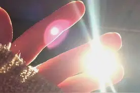 《断章》中的意境图片