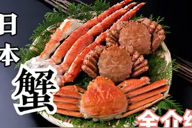 到日本必吃的饕餮美味——螃蟹！详解日本六大名蟹图片