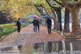 跑网约车第11天，总算明白了友友们描述的百丽是啥意思！图片