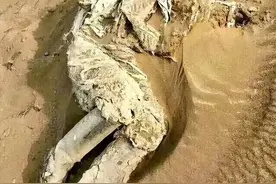 他执行秘密任务命丧罗布泊，在沙漠风吹日晒56年后，被探险队发现图片