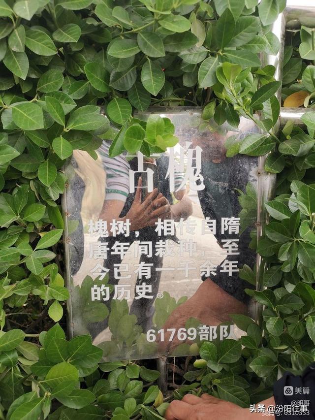 汾阳往事｜殷维明：走进子夏山、仁岩村、太符观、杏花村