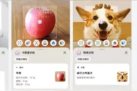 华为手机鸿蒙系统“扫一扫”又升级了！新版本再次更新4大功能图片
