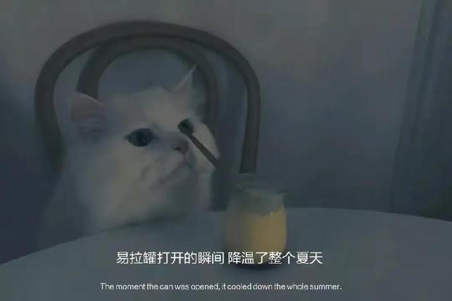 朋友圈情感文案图｜等太久了，感动的只是自己