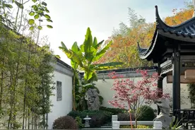 最近庭院流行种竹子，竹子可不能乱种！这三招教会你…图片