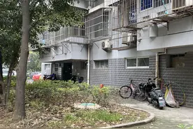 长沙一居民楼突然出现百条毒蛇，连续七天越打越多，专家查明真相图片