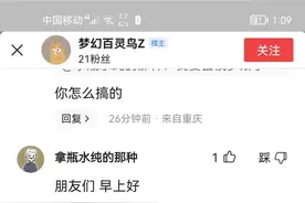 IP地址可随意切换.可有可无的功能.图片