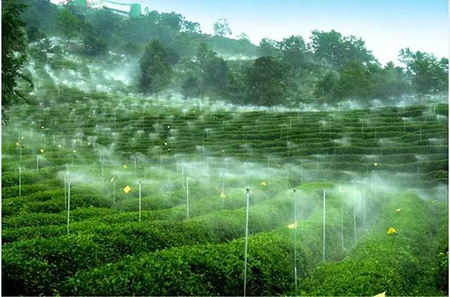 四川省民生研究会新媒体中心-官网