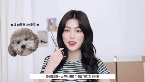 如何才能在家自己搞头发？实用技能大放送，洗剪吹烫染，包教包会