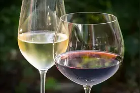 每天吃饭前喝一瓶啤酒，对身体健康是好是坏？要担心起来了图片