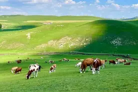 内蒙古乌兰察布历史简述图片