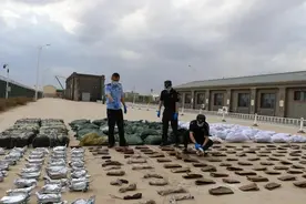 乌拉特海关在中蒙甘其毛都口岸查获大量动物毛皮和器官，司机已被刑拘图片