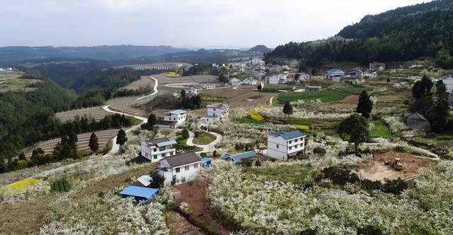 四川省民生研究会新媒体中心-官网