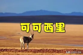 可可西里无人区到底有多可怕？图片