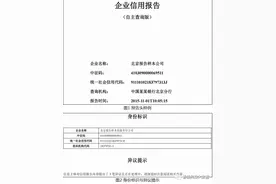 企业人行征信报告的全面梳理与数据介绍图片