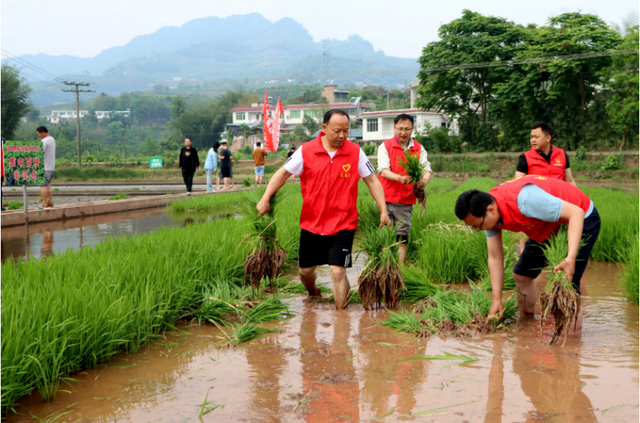 四川省民生研究会新媒体中心-官网