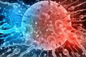检查精子畸形率100%，还能生孩子吗？图片