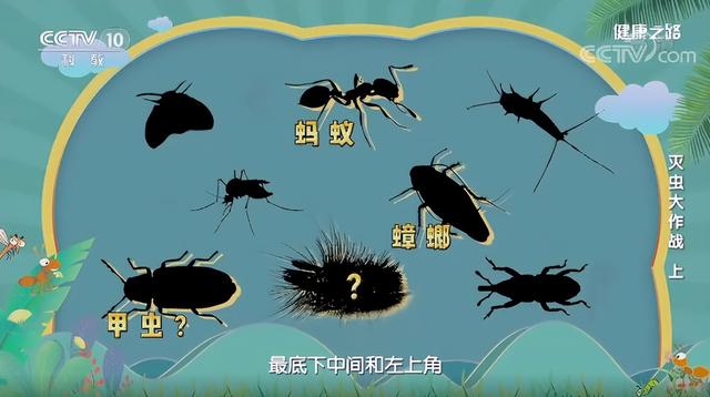 什么血型不怕蚊子咬（蚊子最爱叮什么血型的人）