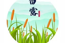 明日白露，建议大家：别太心疼钱，多吃3种海鲜，养足精力过秋天图片