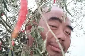 多重性格的农民鲁智深图片