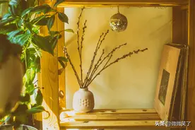 重温《少年维特之烦恼》：才懂得“爱而不得”，是人生另一种圆满图片