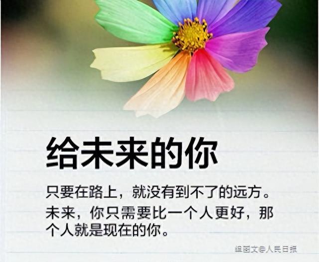 如果网贷逾期车贷怎么办，如果网贷逾期车贷怎么办理 配图08