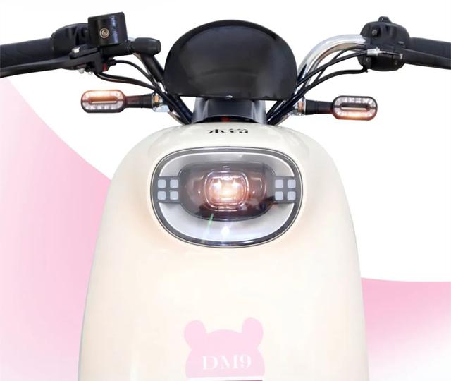 两款轻巧实用的电动车，能骑超过5年，续航远，主打城镇市场