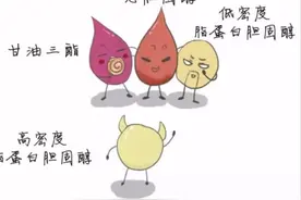 别让血脂“失控”：识破献血降脂谣言，开启降脂保卫战图片