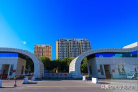 在石河子大学读书，毕业后好找工作吗？这篇文章告诉你答案图片