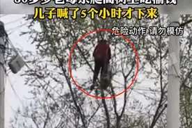 危险！80多岁老太爬树摘榆钱，喊都喊不下来图片