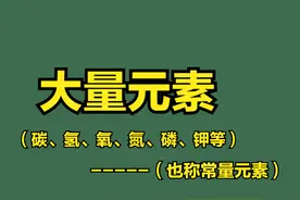 肥料界中，大量元素、中元素、微量元素到底是什么？区别在哪儿？图片
