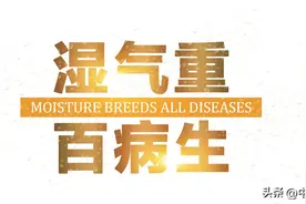 湿气重？源于肝郁脾虚 逍遥丸巧搭配 堪称中药界的“排水阀”图片