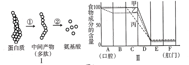 中考生物一轮复习 专题训练八 人的食物来自环境