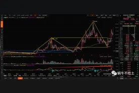 中国软件走势分析图片