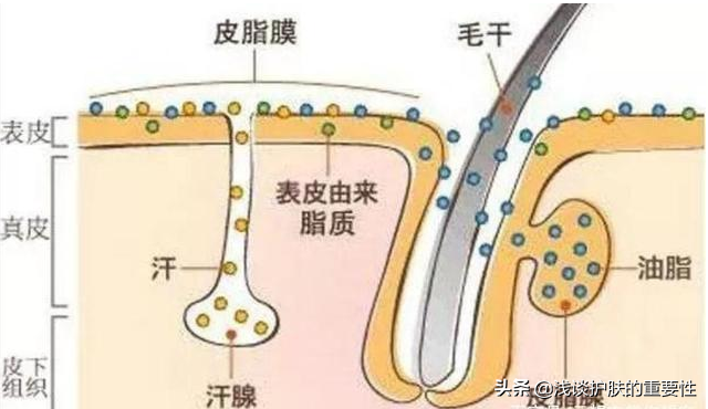 抹了身体乳还干