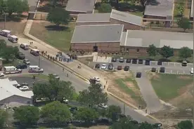 美国的枪店和药店一样多图片