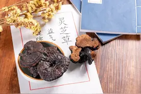灵芝孢子粉，到底是养生好物还是“慢性毒药”？癌症患者能吃吗？图片
