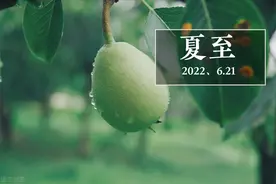 “夏令见三鲜，安康一整年”！3鲜是指啥？应节气、别忘了吃图片