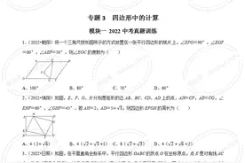 2023年中考数学选择题压轴题专练03 四边形中的计算图片