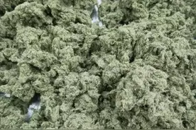 艾灸要想效果好，必须解决三个问题——1根本：艾绒图片
