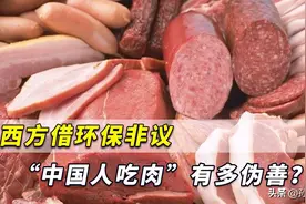 西方学者不许中国人吃肉，称中国高速发展40年，已让世界面临风险图片