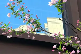 去有风的地方 刘亦菲壁纸图片